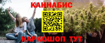 тгк Новодвинск